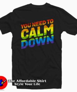 Gay Pride Rainbow Equality You Need To Calm Down Tee Shirt
