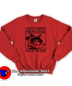 Grumpy Cat Valentine Arrow Strikes Sweatshirt