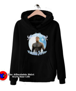 Black Panther Rest In Power Wakanda Forever Hoodie