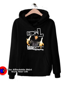 BIG-L Life Stylez Ov Da Poor & Dangerous Rap Hoodie