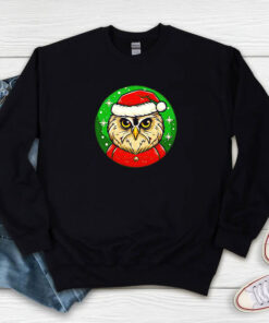 Santa Owl Cartoon Christmas Sweatshirt